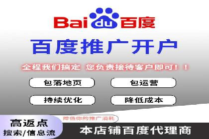 百度广告竞价策略解析与应用案例
